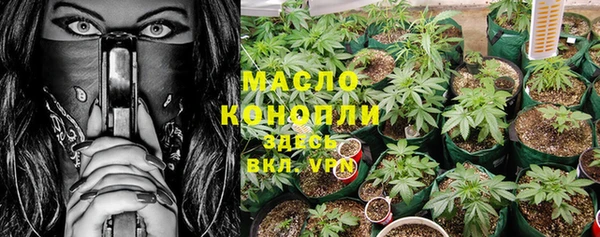 гидра Осинники