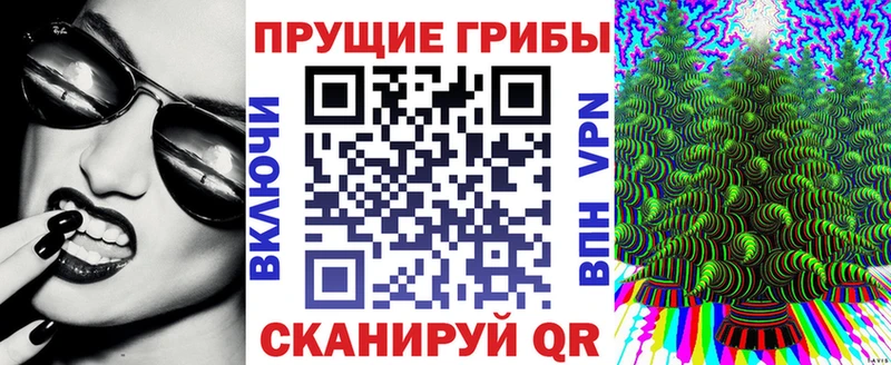 Псилоцибиновые грибы ЛСД  OMG ССЫЛКА  Советск  купить  сайты 