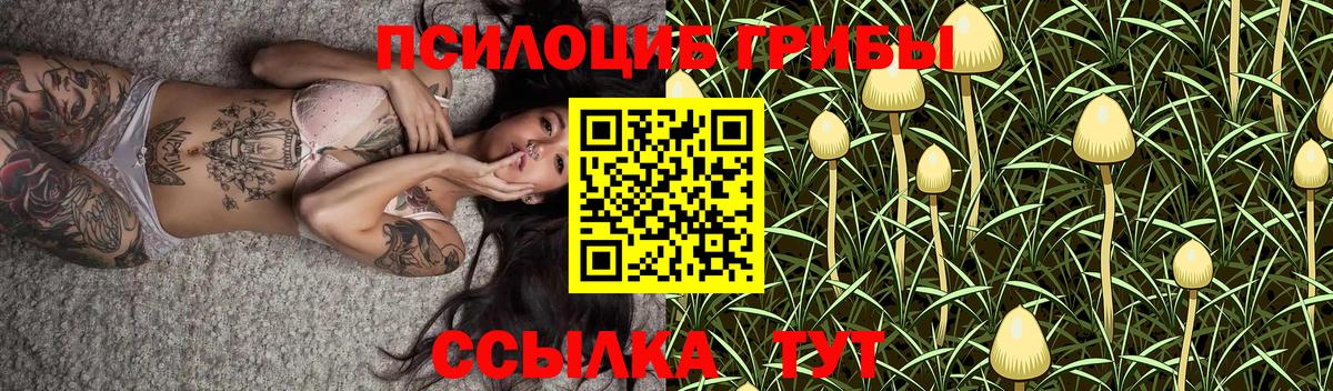Советск  Галлюциногенные грибы мухоморы  Вход с VPN  Галлюциногенные грибы GOLDEN TEACHER 